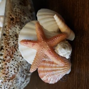 Hand crafted Mermaid 🧜‍♀️ hair accessory